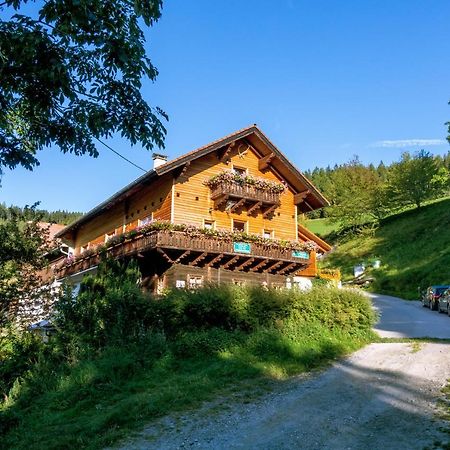 Almbauer Morgenbesser Apartment Trattenbach  Exterior photo